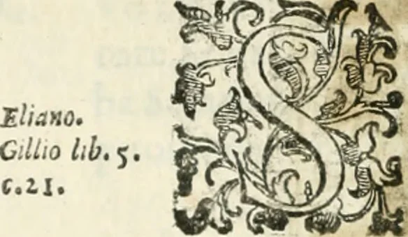 An illustration from Teatro d'imprese, 1623, leaf 671