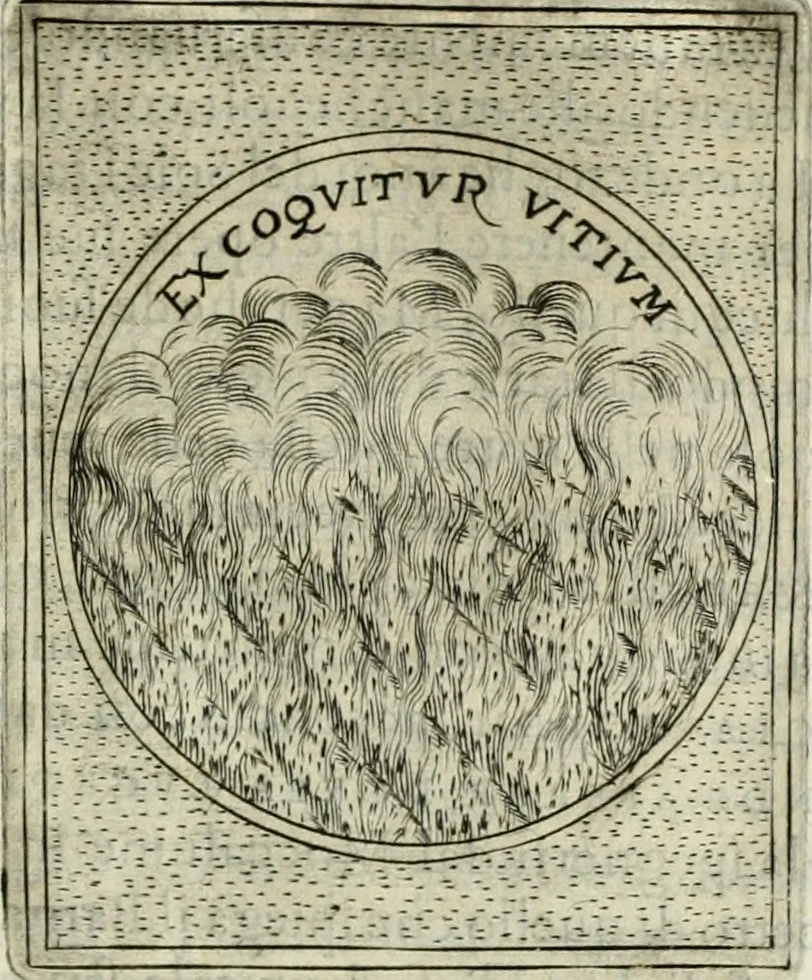An illustration from Teatro d'imprese, 1623, leaf 676