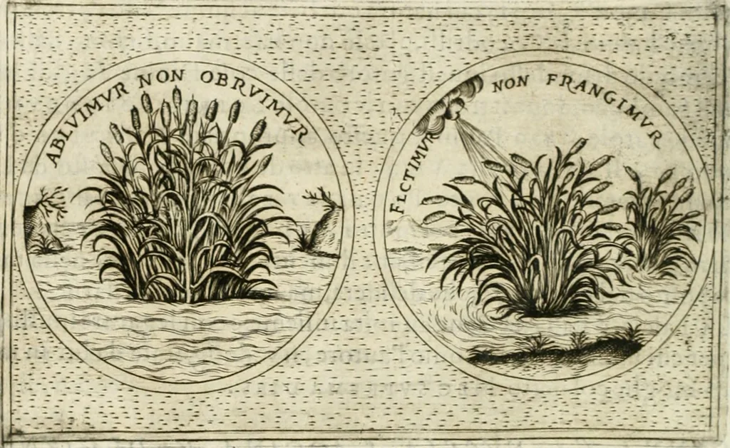 An illustration from Teatro d'imprese, 1623, leaf 687