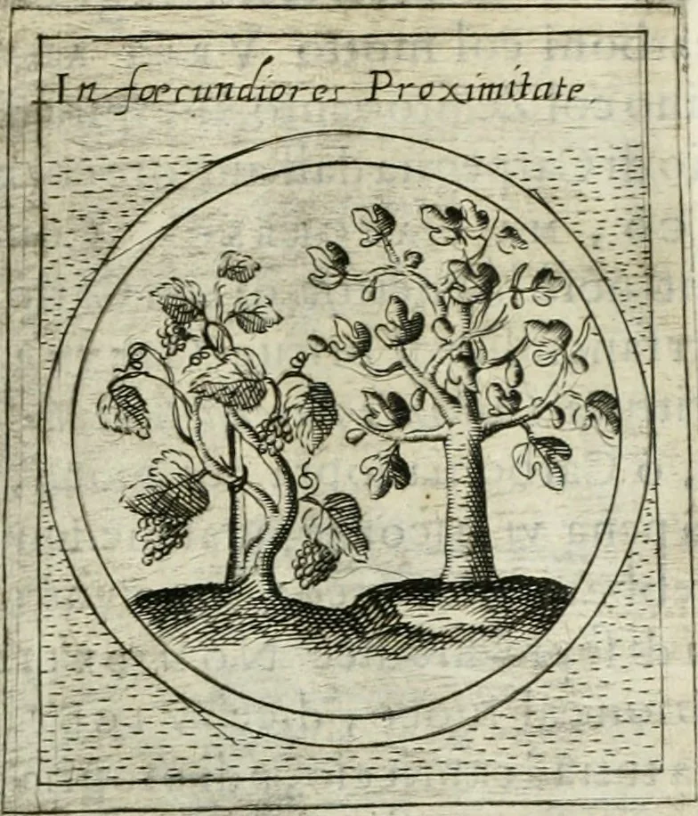 An illustration from Teatro d'imprese, 1623, leaf 696