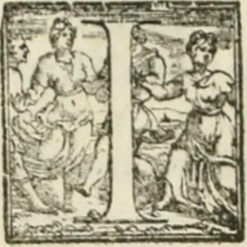 An illustration from Teatro d'imprese, 1623, leaf 699