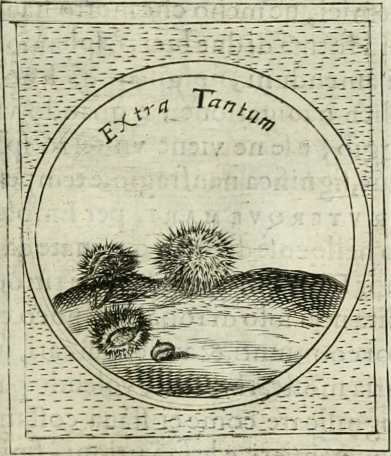 An illustration from Teatro d'imprese, 1623, leaf 708
