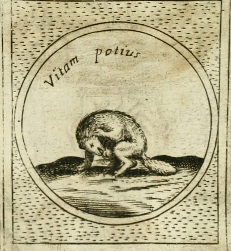 An illustration from Teatro d'imprese, 1623, leaf 711