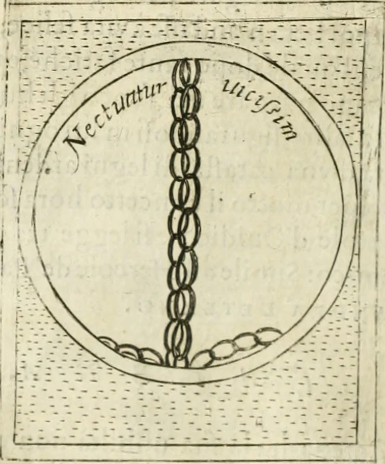 An illustration from Teatro d'imprese, 1623, leaf 713