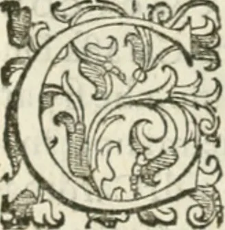 An illustration from Teatro d'imprese, 1623, leaf 717