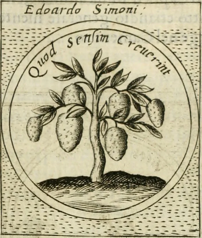 An illustration from Teatro d'imprese, 1623, leaf 719