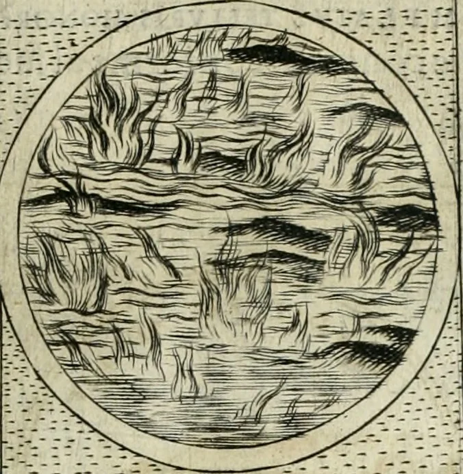 An illustration from Teatro d'imprese, 1623, leaf 728