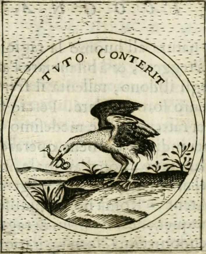 An illustration from Teatro d'imprese, 1623, leaf 733