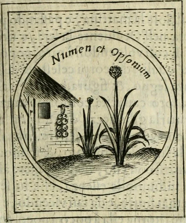 An illustration from Teatro d'imprese, 1623, leaf 742