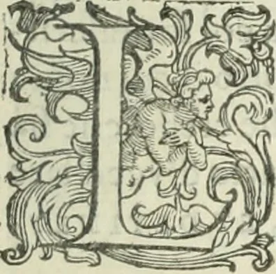 An illustration from Teatro d'imprese, 1623, leaf 744