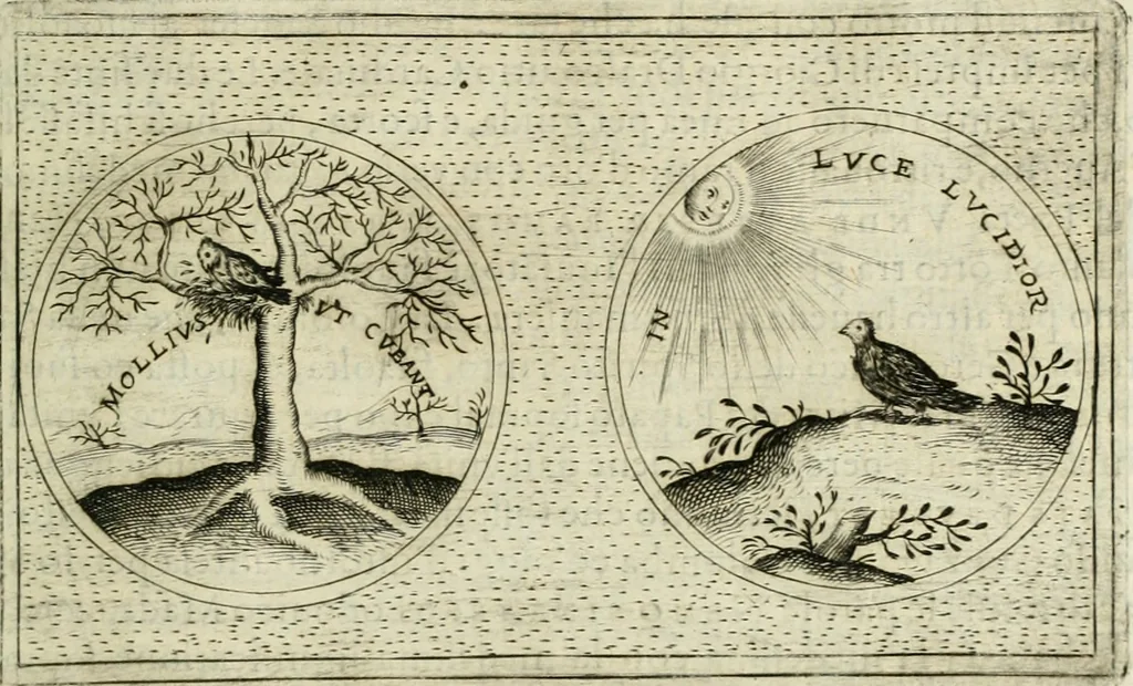 An illustration from Teatro d'imprese, 1623, leaf 750