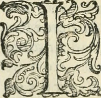 An illustration from Teatro d'imprese, 1623, leaf 771