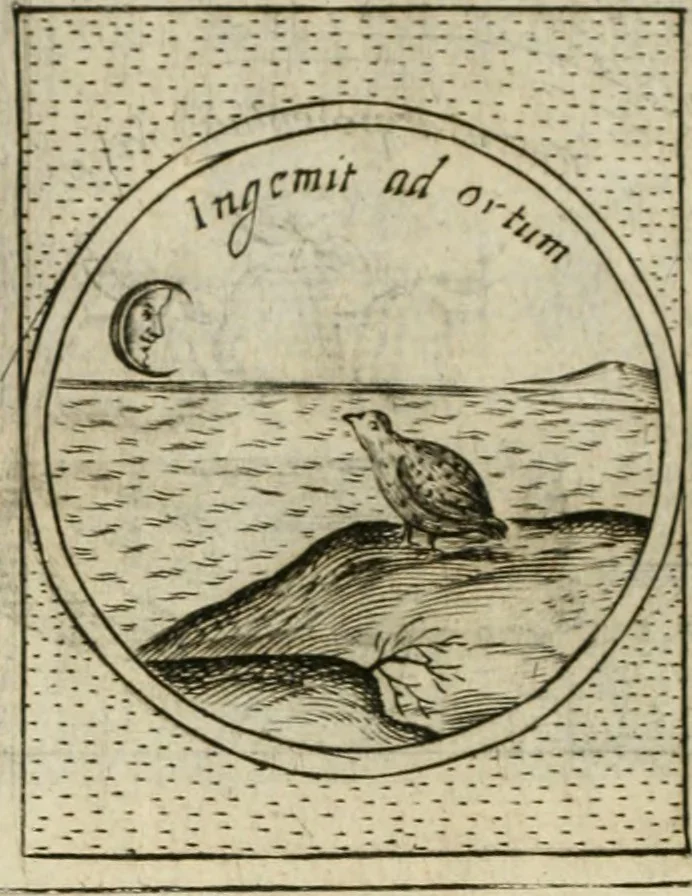 An illustration from Teatro d'imprese, 1623, leaf 775