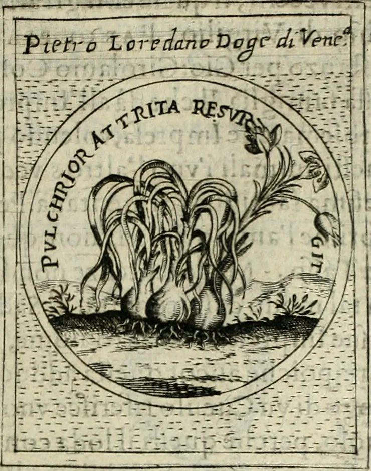 An illustration from Teatro d'imprese, 1623, leaf 782