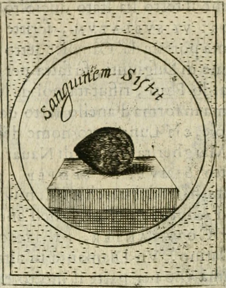 An illustration from Teatro d'imprese, 1623, leaf 795
