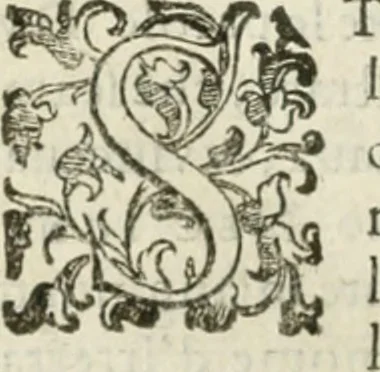 An illustration from Teatro d'imprese, 1623, leaf 795