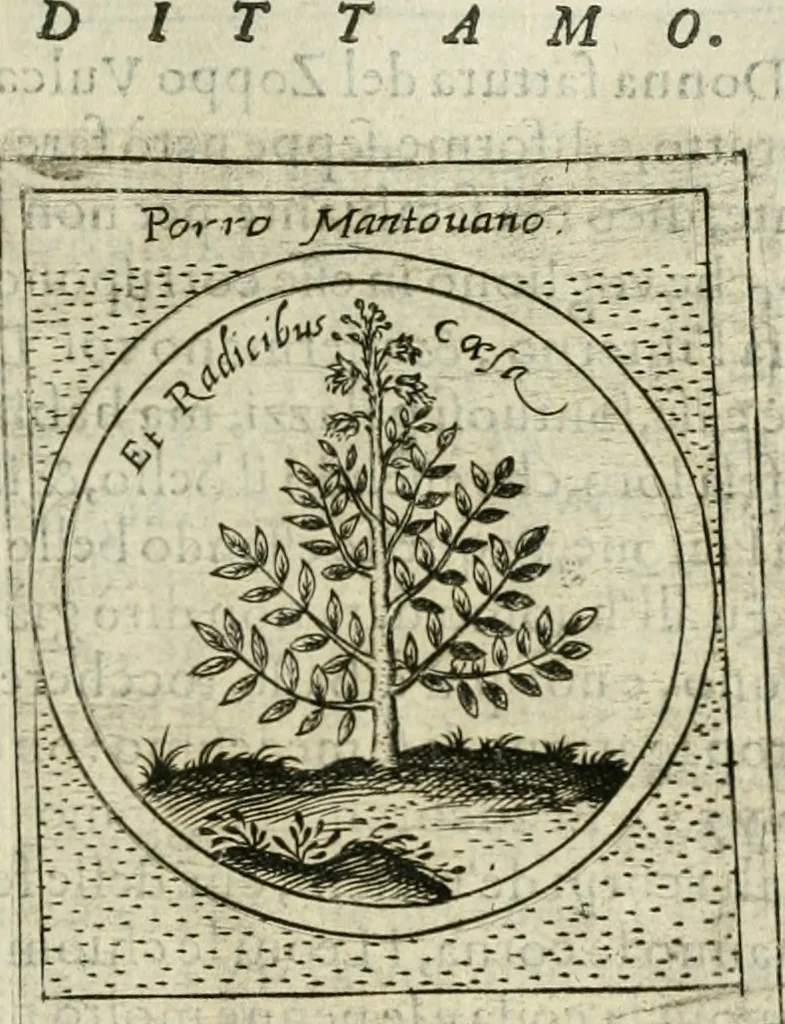 An illustration from Teatro d'imprese, 1623, leaf 800