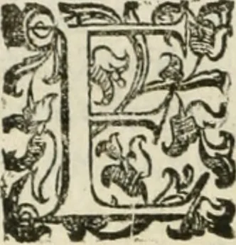 An illustration from Teatro d'imprese, 1623, leaf 801