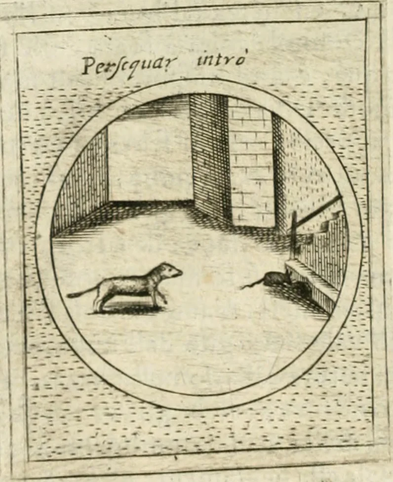 An illustration from Teatro d'imprese, 1623, leaf 807