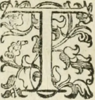 An illustration from Teatro d'imprese, 1623, leaf 841