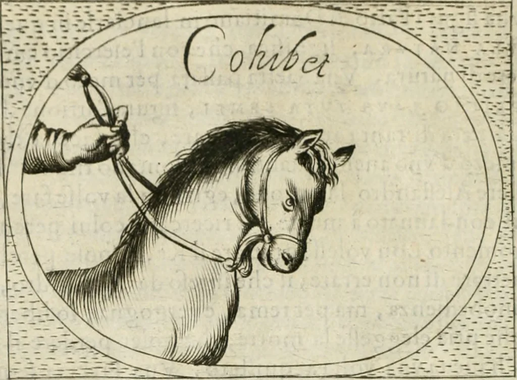 An illustration from Teatro d'imprese, 1623, leaf 857