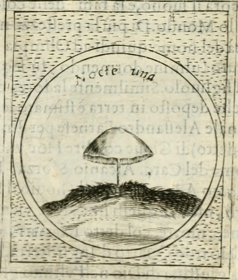 An illustration from Teatro d'imprese, 1623, leaf 861