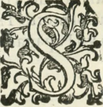 An illustration from Teatro d'imprese, 1623, leaf 869