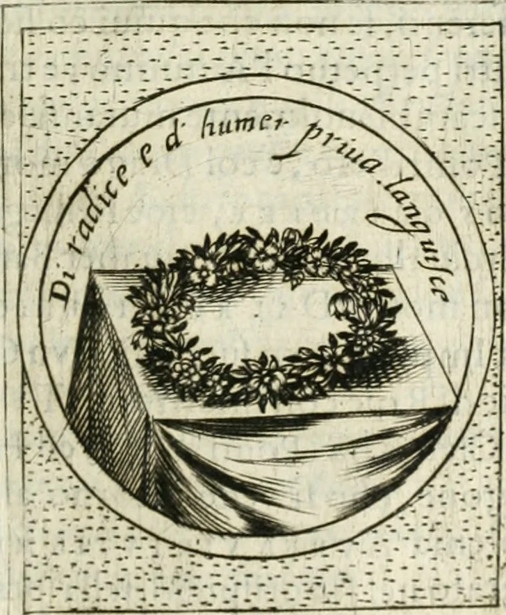 An illustration from Teatro d'imprese, 1623, leaf 880