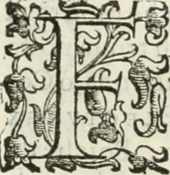 An illustration from Teatro d'imprese, 1623, leaf 881