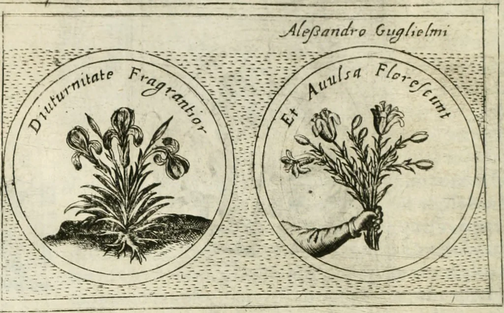 An illustration from Teatro d'imprese, 1623, leaf 883