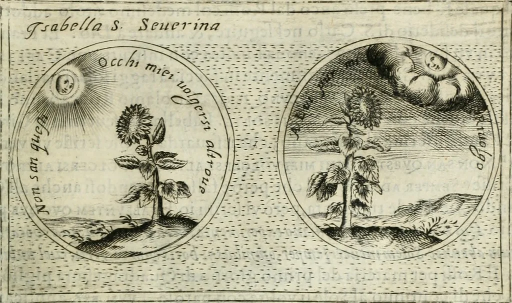 An illustration from Teatro d'imprese, 1623, leaf 886