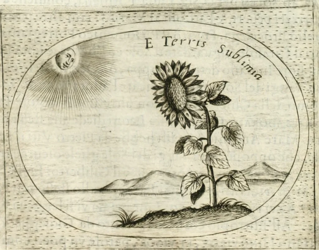 An illustration from Teatro d'imprese, 1623, leaf 887