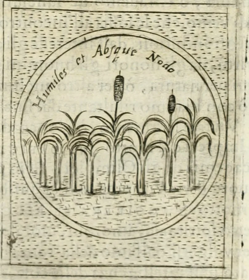 An illustration from Teatro d'imprese, 1623, leaf 889