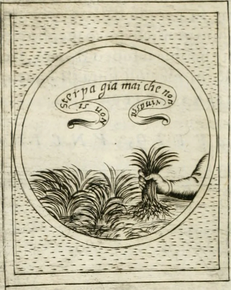An illustration from Teatro d'imprese, 1623, leaf 897
