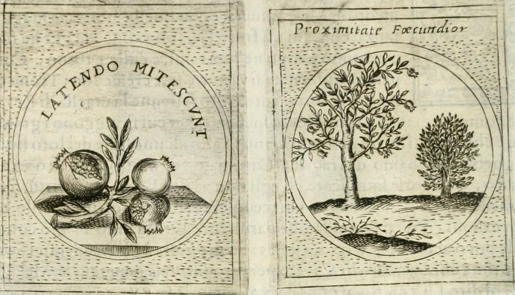 An illustration from Teatro d'imprese, 1623, leaf 899