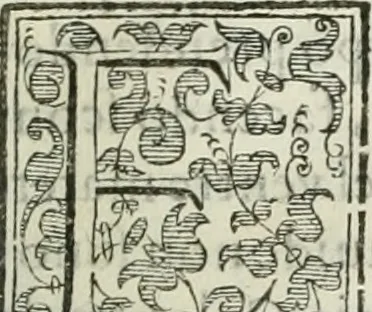 An illustration from Teatro d'imprese, 1623, leaf 910
