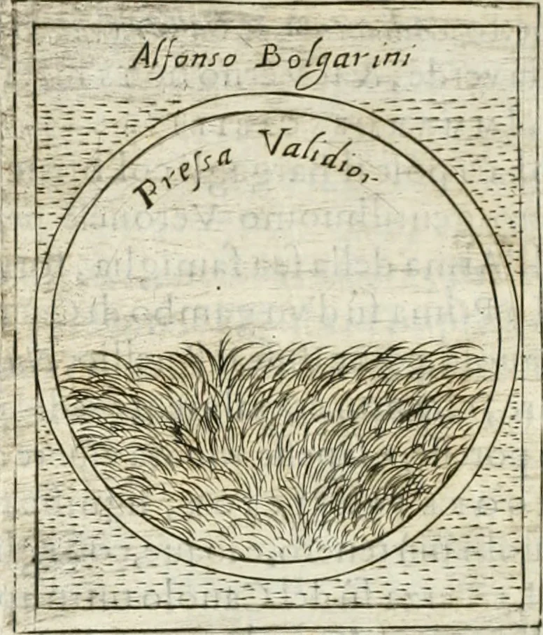 An illustration from Teatro d'imprese, 1623, leaf 911