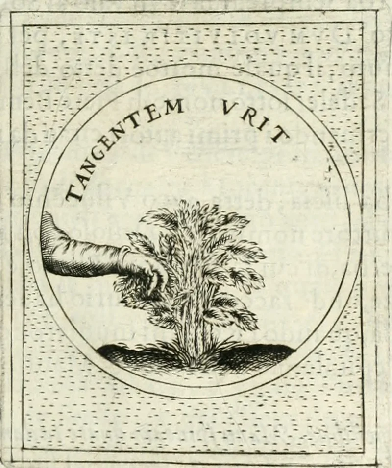 An illustration from Teatro d'imprese, 1623, leaf 912