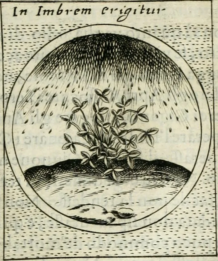 An illustration from Teatro d'imprese, 1623, leaf 914