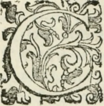 An illustration from Teatro d'imprese, 1623, leaf 915