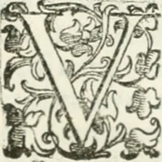 An illustration from Teatro d'imprese, 1623, leaf 917