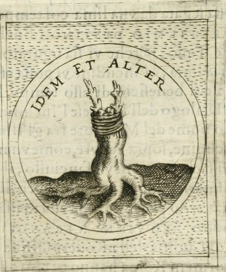 An illustration from Teatro d'imprese, 1623, leaf 931