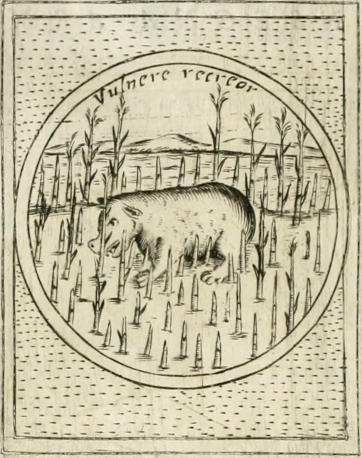 An illustration from Teatro d'imprese, 1623, leaf 933