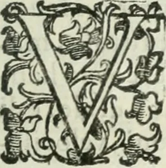 An illustration from Teatro d'imprese, 1623, leaf 942