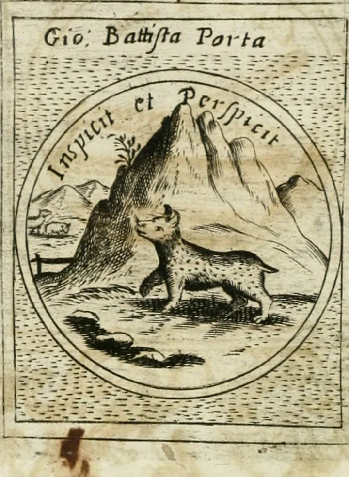 An illustration from Teatro d'imprese, 1623, leaf 965