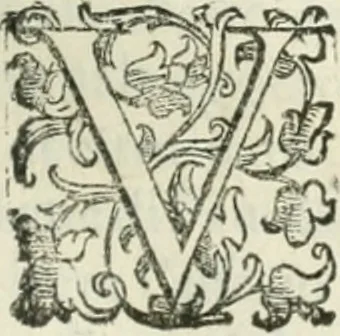 An illustration from Teatro d'imprese, 1623, leaf 970