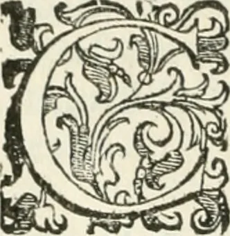 An illustration from Teatro d'imprese, 1623, leaf 975
