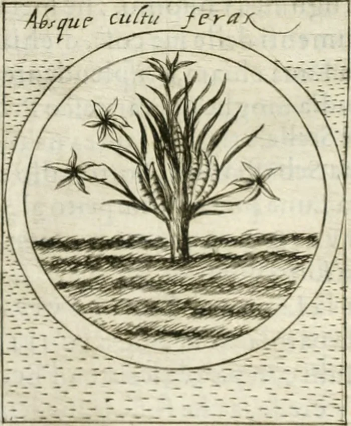 An illustration from Teatro d'imprese, 1623, leaf 981