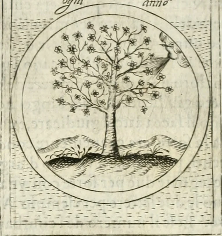 An illustration from Teatro d'imprese, 1623, leaf 985