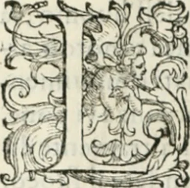 An illustration from Teatro d'imprese, 1623, leaf 993
